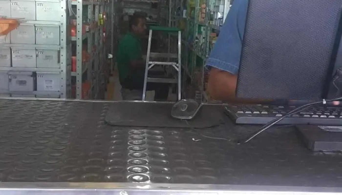 Auto Electrica Durango Sa De Cv - Burócrata
