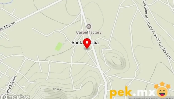 mapa de Auto Electrica 