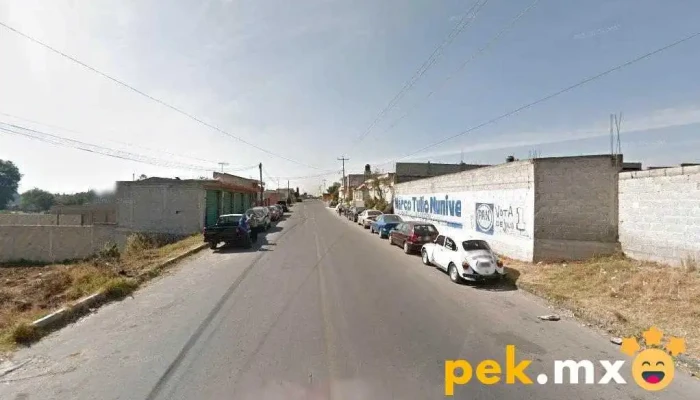 Auto-Electrico - El Alto