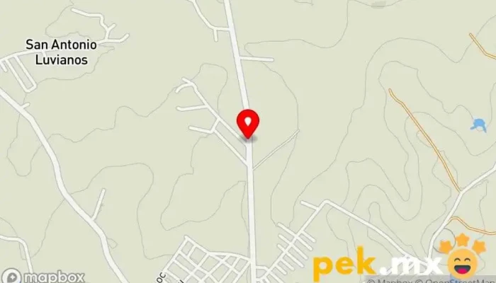 mapa de Autoservicio Electrico ABEL Taller de reparación de automóviles en San Antonio Luvianos