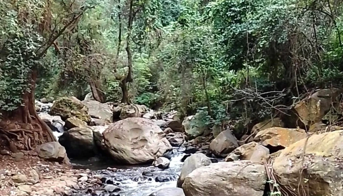 Balneario Chalma -  Opiniones - Plaza Nueva