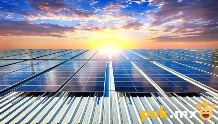 Bee Energy -  Comentarios - Cuauhtemoc