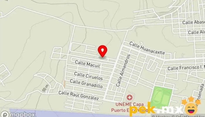 mapa de Bgm soluciones Servicio de informática, Servicio de instalación eléctrica, Proveedor de sistemas de seguridad en Puerto Escondido