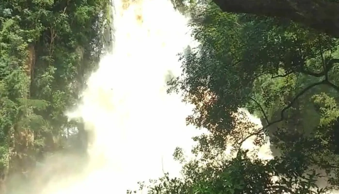 Central Hidroelectrica Ixtapantongo Cfe Videos - Susupuato de Guerrero