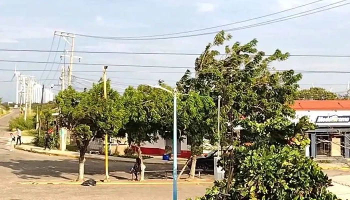 Centro Comunitario Bioclimatico Ejidal Videos - La Venta