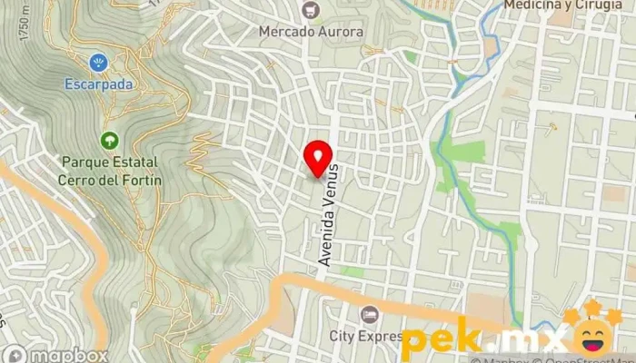 mapa de Cercas Eléctricas de Oaxaca Servicio de seguridad en Oaxaca de Juárez