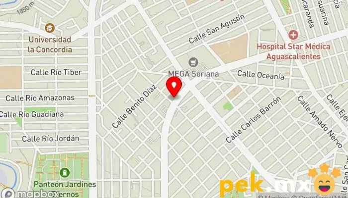 mapa de Cerrajería Gigante Cerrajero en Aguascalientes