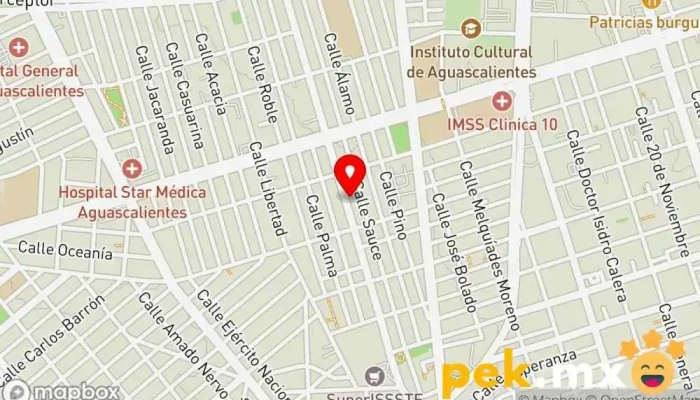 mapa de CERRAJERIA JAIME Cerrajero en Aguascalientes