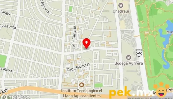 mapa de Cerrajeria Kexpres Cerrajero en Aguascalientes