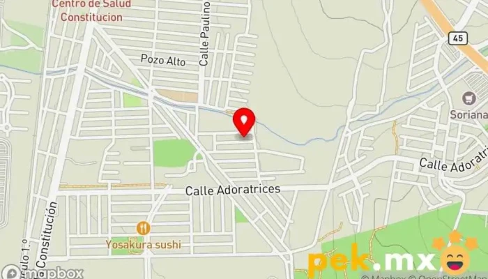 mapa de Cerrajería Profesional Cerrajero en Aguascalientes