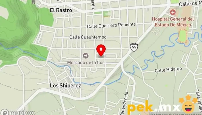 mapa de CFE CAC Tenancingo Oficina del gobierno federal en Tenancingo de Degollado