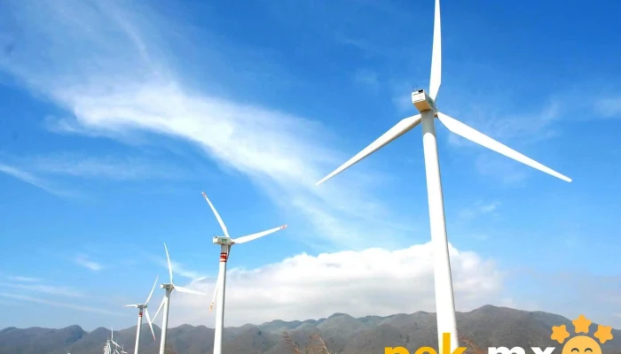 Cfe La Venta Oax Puntaje - La Venta