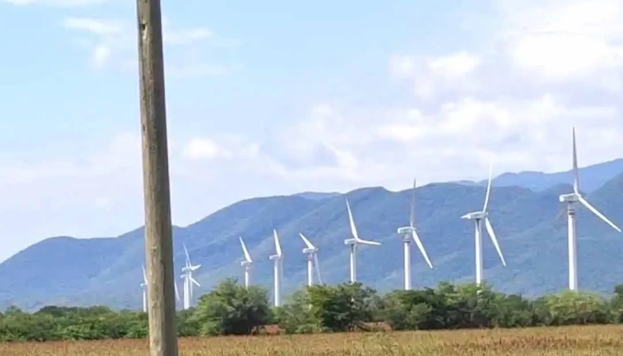 Cfe La Venta Oax Videos - La Venta