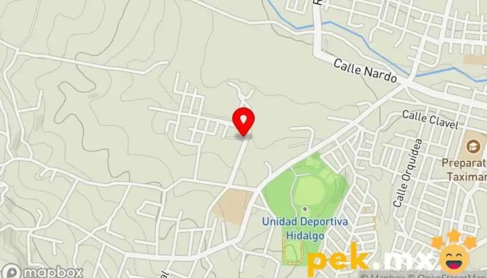 mapa de CFE Electricista en Cdad. Hidalgo