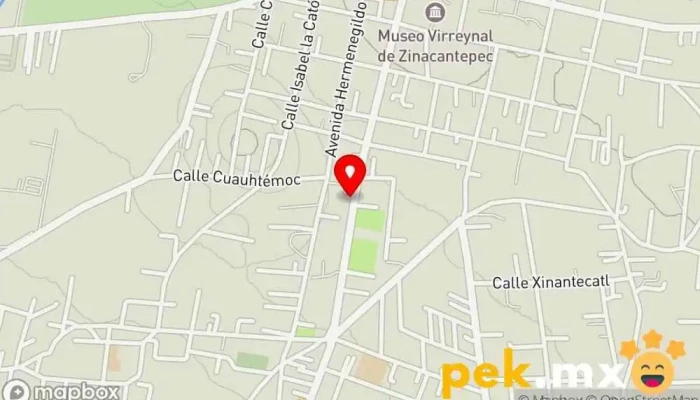 mapa de CFE Compañía eléctrica en Vista Nevado Plus