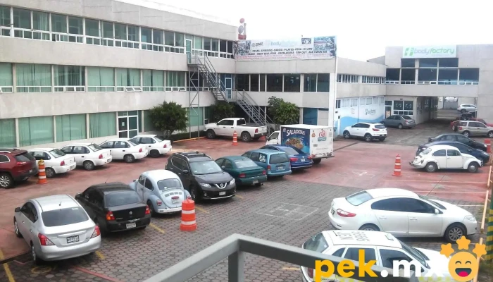 Cfe Palmas -  Telefono - Texcoco de Mora