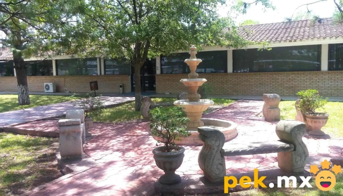 Cfe Zona Montemorelos-Linares - 67560 Montemorelos