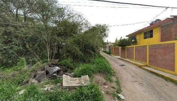 Cissa -  Videos - El Llano