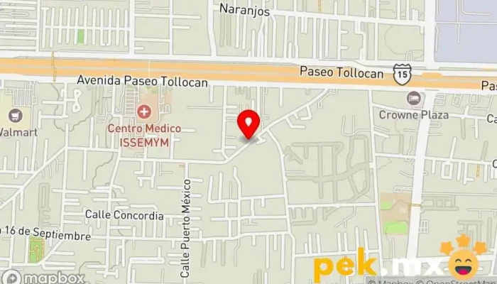 mapa de COLEGIO MEXIQUENSE DE INGENIEROS ELECTRICISTAS A.C. Asociación de ingenieros técnicos industriales en San Jerónimo Chicahualco