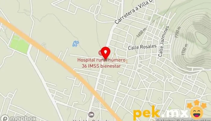 mapa de Comision Federal De Electricidad Oficinas de empresa en Tlacolula de Matamoros