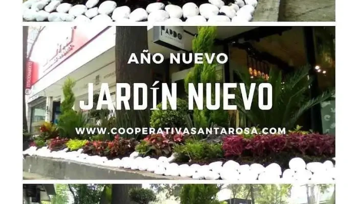 Cooperativa Santa Rosa - Álvaro Obregón, Ciudad De México