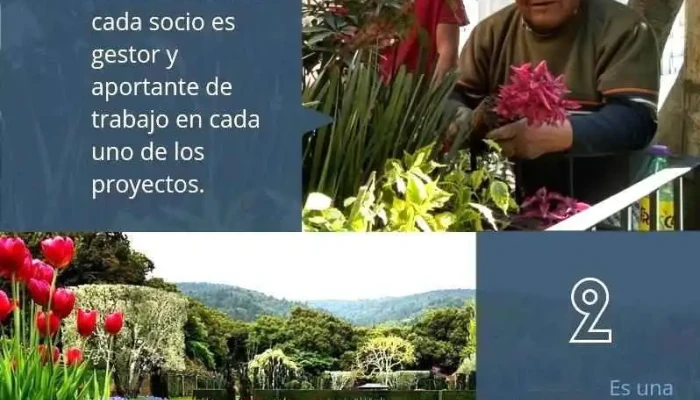 Cooperativa Santa Rosa -  Maceta - Álvaro Obregón, Ciudad de México