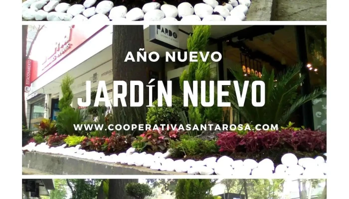 Cooperativa Santa Rosa -  Zona - Álvaro Obregón, Ciudad de México