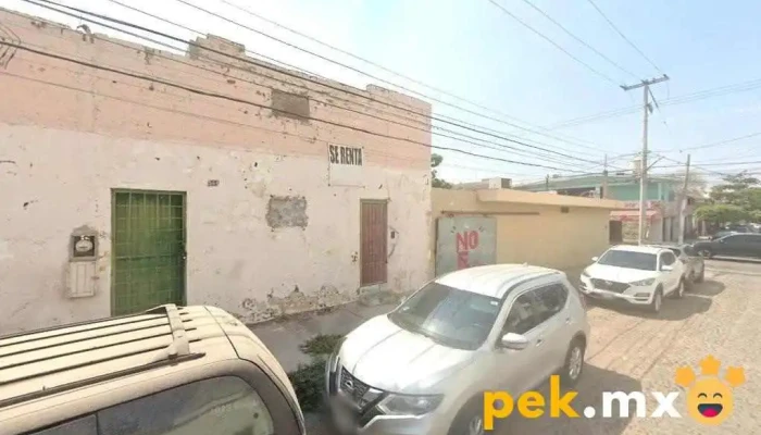 Coseesa Eléctrica - Culiacán Rosales