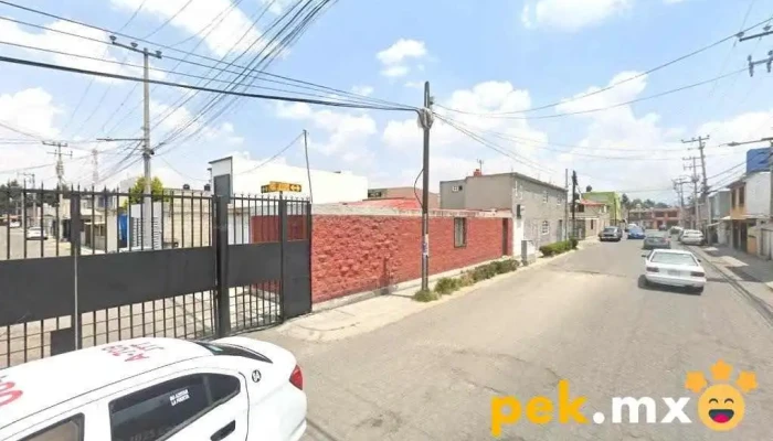 Desarrolladora E Instalaciones Electricas Sa De Cv - Sauces