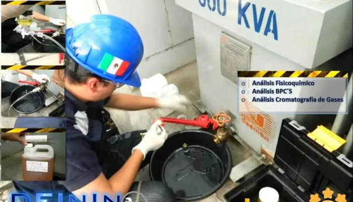 Desarrollo Integral de Ingeniería S.a. de C.v. - Xochimilco, Ciudad De México