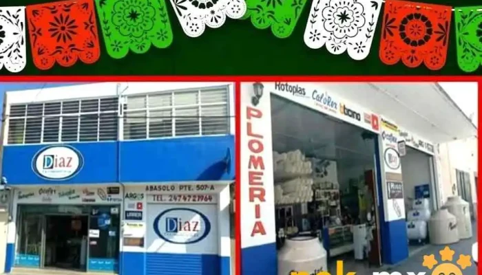 Diaz Ferroelectricas - Centro