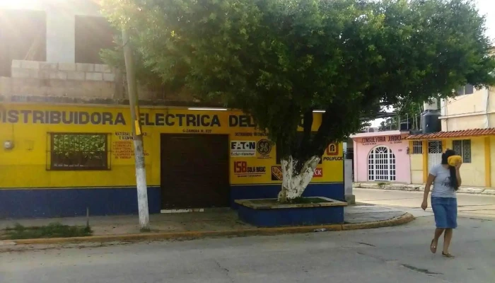Distribuidora Electrica Del Golfo Catalogo - Jáltipan de Morelos