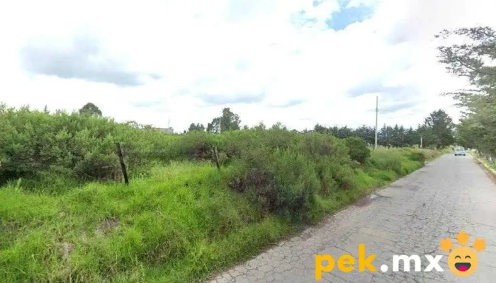 El Manantial - Barrio De San Pedro La Cabecera