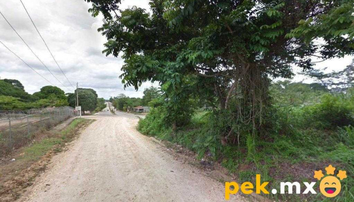 El Porvenir - El Porvenir