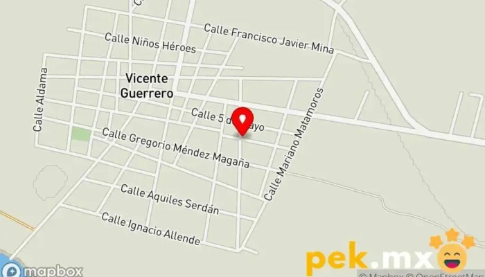 Eléctrica Frontera - Villa Vicente Guerrero