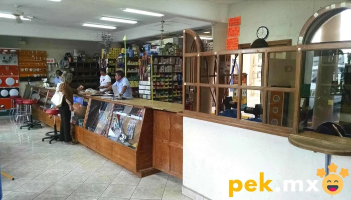 Electrica Industrial Del Bravo Del Propietario - Heroica Matamoros