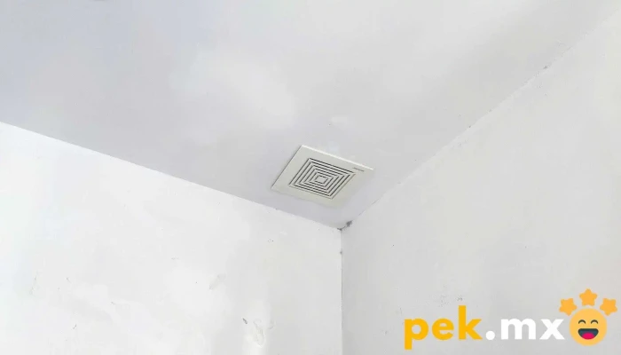 Eléctrica León - Charay