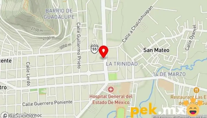 mapa de Eléctrica León Ferretería en Tenancingo de Degollado