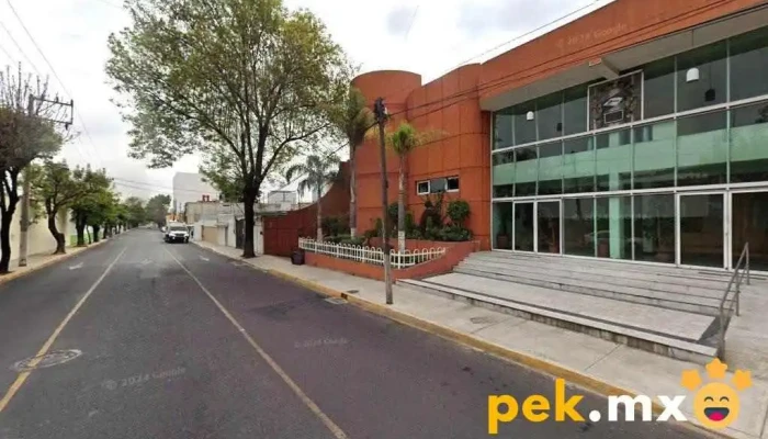 Eléctrica Rijal - Toluca De Lerdo