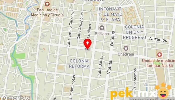 mapa de Electricidad Leo Ingeniero eléctrico en Oaxaca de Juárez