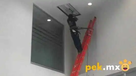 Electricidad Y Plomeria En Morelia -  Comentarios - Morelia