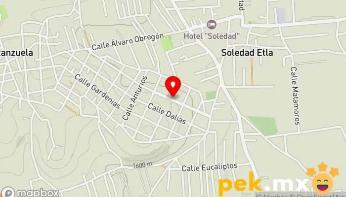 mapa de Electricidad Y Plomeria Rey Oficinas de empresa en Soledad Etla