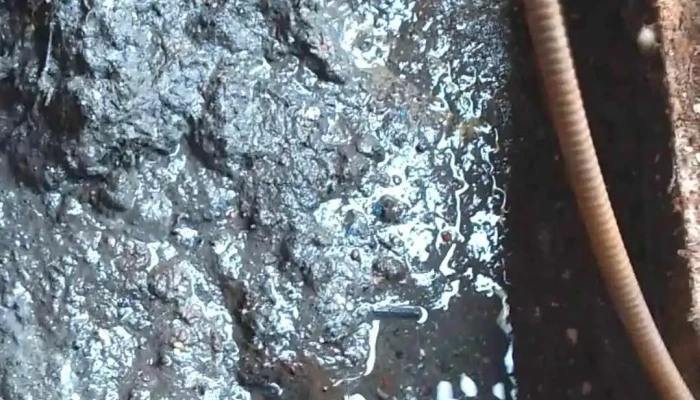 Electricidad Y Plomeria Yanez Videos - Álvaro Obregón, Ciudad de México