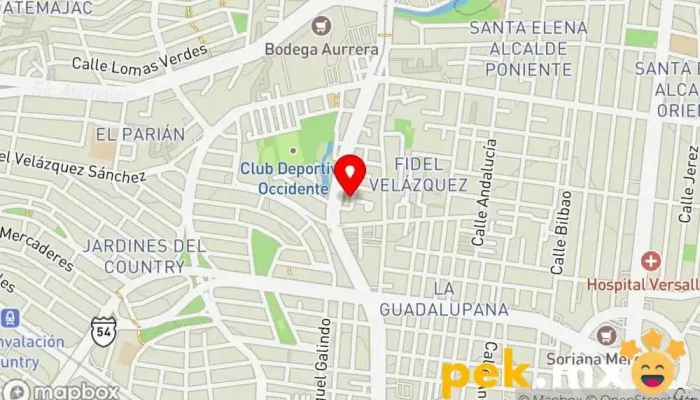 mapa de ELECTRICISTA INDUSTRIAL Y RECIDENCIAL MIGUEL HERNANDEZ Electricista en Guadalajara
