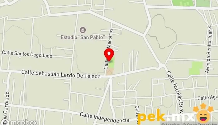mapa de Electricista Asociación u organización en San Pablo Autopan