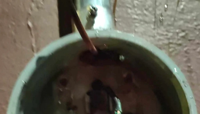 Electricistas A Domicilio 24 Horas -  Como Llegar - Guadalajara