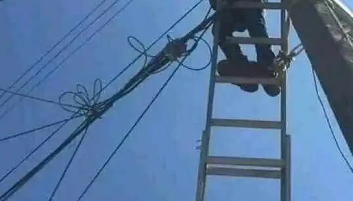Electricistas Especializados Hernandez -  Horario - Ecatepec de Morelos