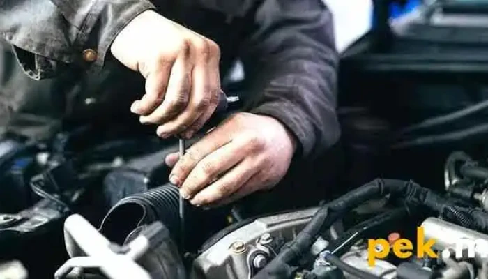 Electrico Automotriz Del Propietario - San Miguel Totoltepec