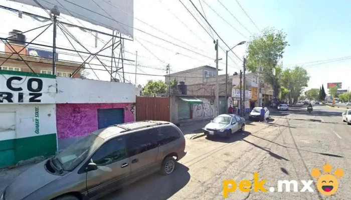 Electrico Automotriz - Santa Ana Tlapaltitlán