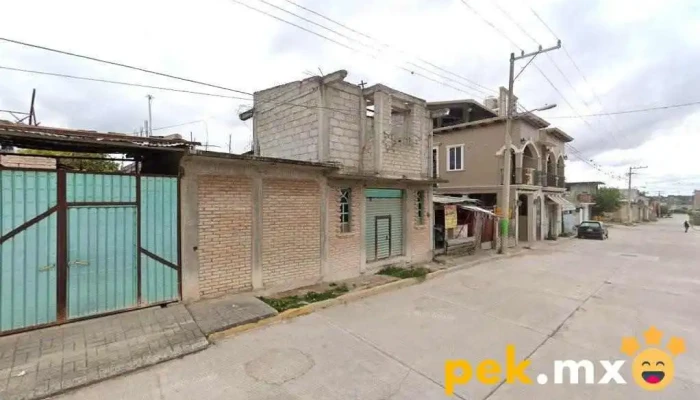 Electrico Rodríguez - Asunción Nochixtlán
